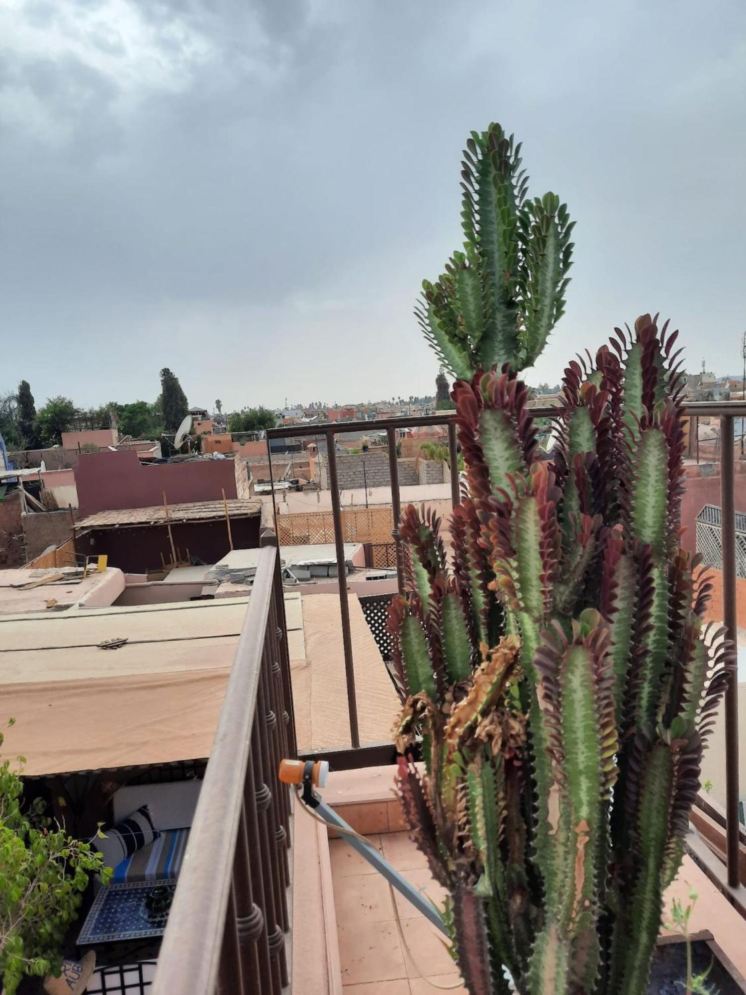 Riad Aubrac Marrakesh Exterior foto